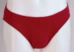 Herrenslips