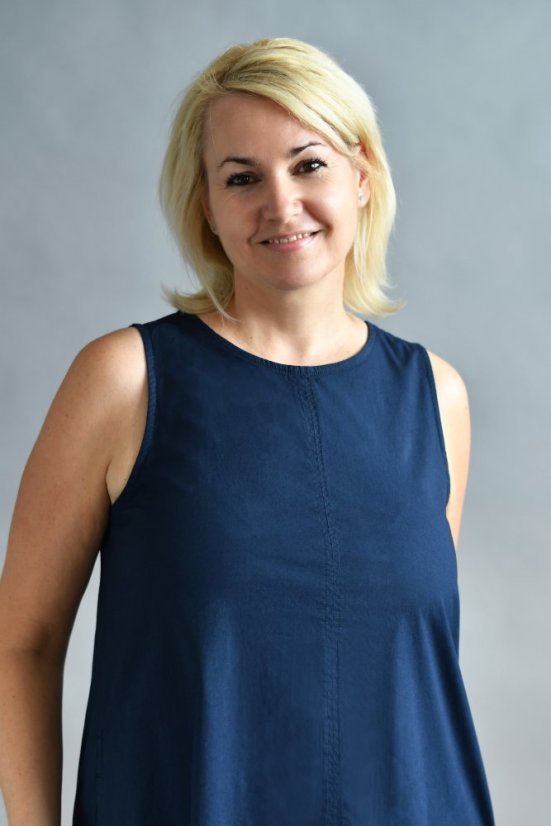 Lockeres ärmelloses Damenkleid